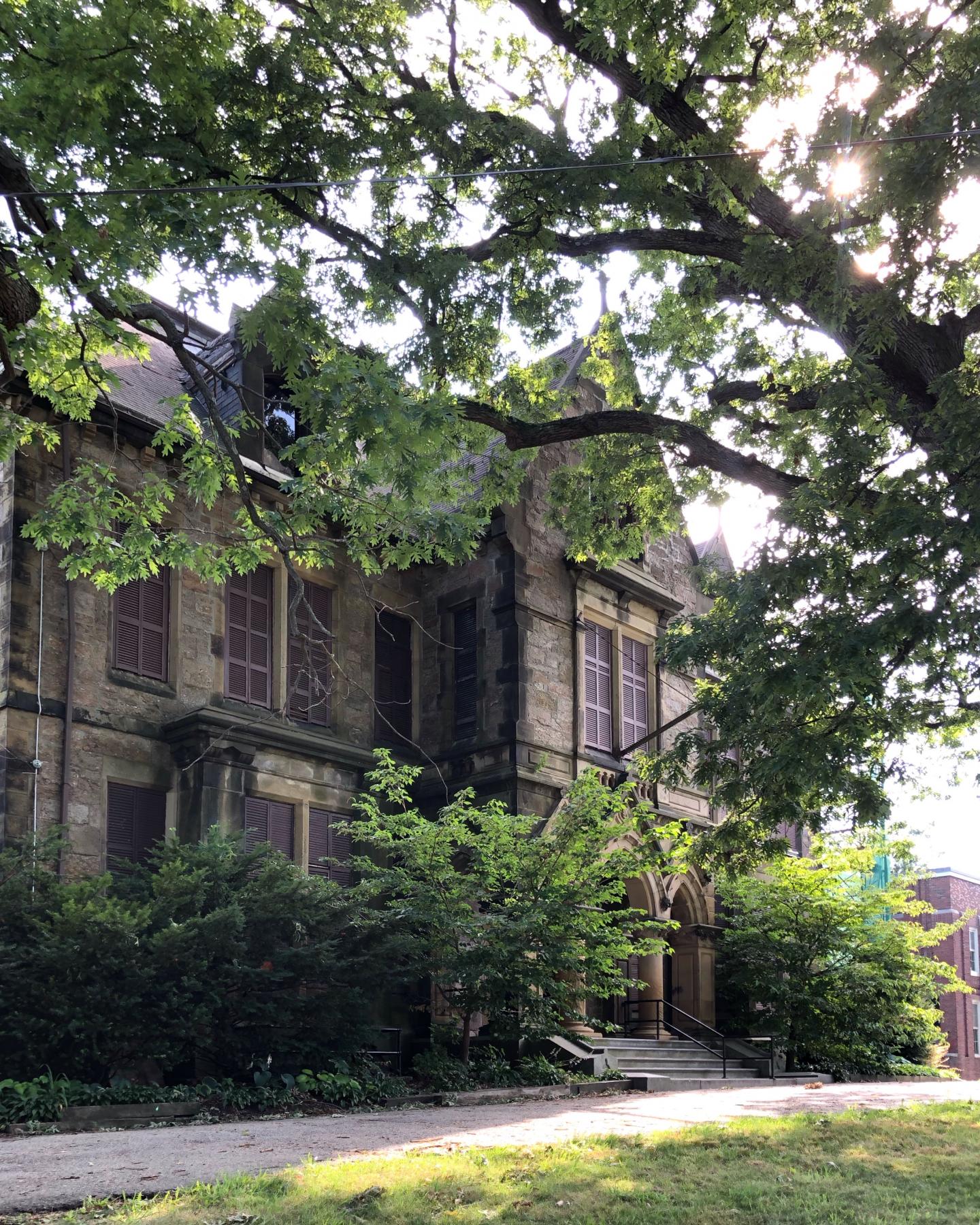 Tiny Story Elma Lewis and the NCAAA Boston Preservation Alliance